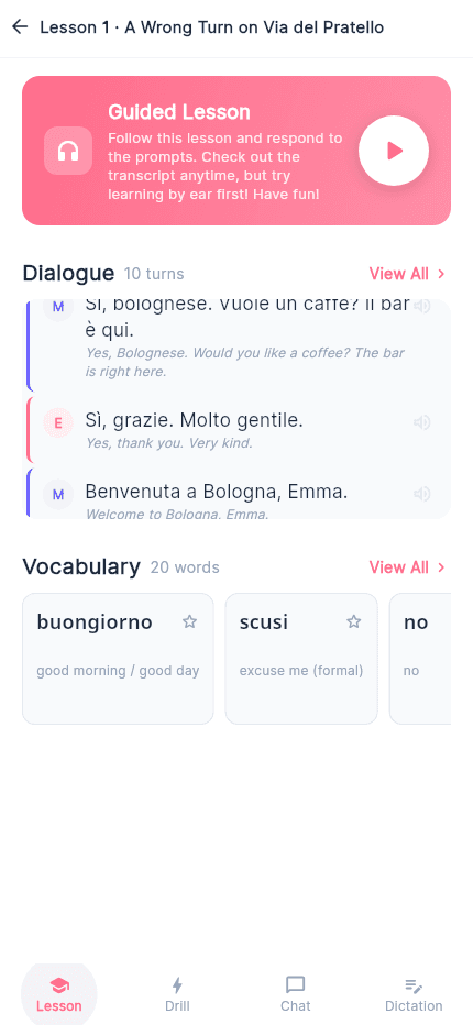 LangBlitz understand view with transcript and vocabulary review